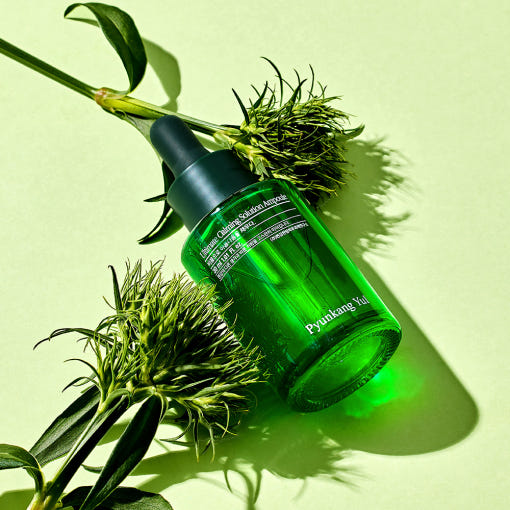 [Pyunkang Yul] Ultimate Calming Solution Ampoule 30ml 4