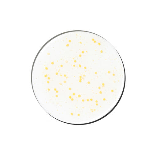 Genabelle PDRN Vita Toning Ampoule 70ml 4