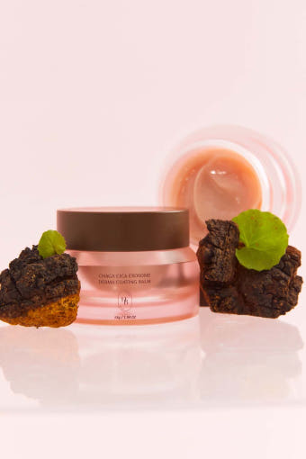 HEVEBLUE Chaga Cica Exosome Derma Coating Balm 55g 2