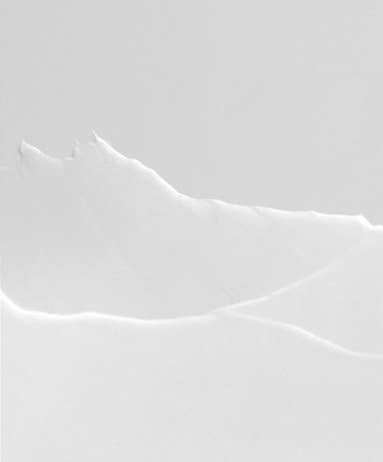 bravity Daily STEMCELL Ampoule Lotion 100g 3